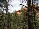 photo thumbnail #5