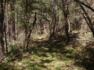 photo thumbnail #12