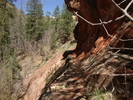 photo thumbnail #14