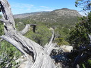 photo thumbnail #6