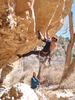 photo thumbnail #8