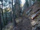 photo thumbnail #2