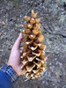 photo thumbnail #11