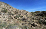 photo thumbnail #1