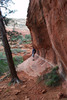 photo thumbnail #7