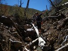 photo thumbnail #5