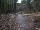 photo thumbnail #1