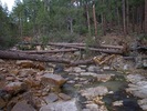 photo thumbnail #7