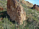 photo thumbnail #7