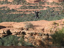 photo thumbnail #6
