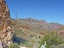 photo thumbnail #10