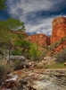 photo thumbnail #9