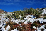 photo thumbnail #4