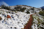 photo thumbnail #5