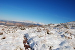 photo thumbnail #6