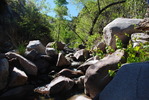 photo thumbnail #7
