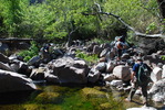 photo thumbnail #9