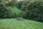 photo thumbnail #12