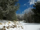 photo thumbnail #3