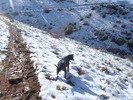 photo thumbnail #6