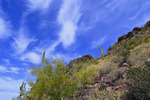 photo thumbnail #8