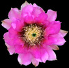photo thumbnail #14