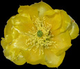 photo thumbnail #15