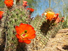 photo thumbnail #8