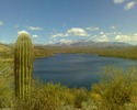 photo thumbnail #3