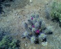 photo thumbnail #6