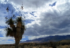 photo thumbnail #1