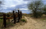 photo thumbnail #5