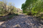 photo thumbnail #3