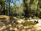 photo thumbnail #10