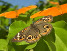 photo thumbnail #13