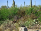 photo thumbnail #2