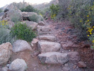 photo thumbnail #3