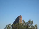 photo thumbnail #14