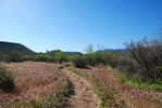 photo thumbnail #3
