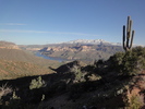 photo thumbnail #2