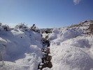 photo thumbnail #10
