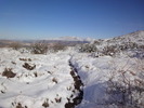 photo thumbnail #11