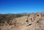 photo thumbnail #4