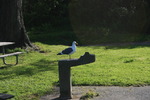 photo thumbnail #14