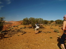 photo thumbnail #4