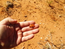 photo thumbnail #9