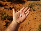 photo thumbnail #12