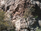 photo thumbnail #9