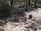 photo thumbnail #11