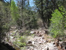 photo thumbnail #12